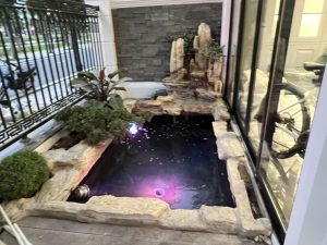 Lĩnh Vực Hoạt Động